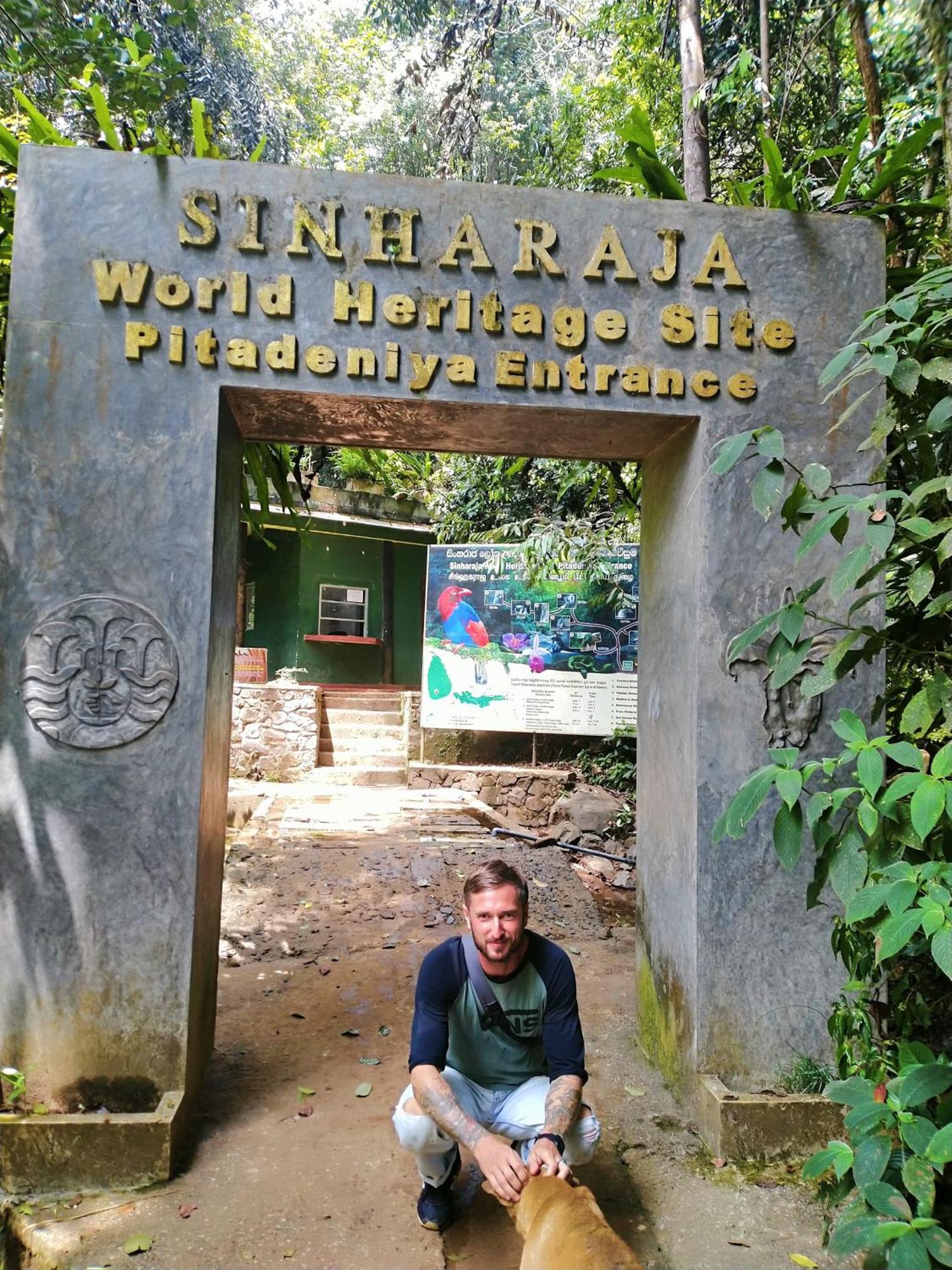 דניאיאה Sinharaja Riverside מראה חיצוני תמונה