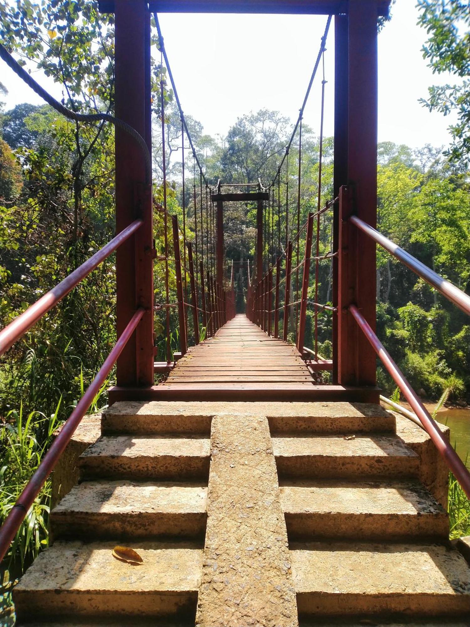 דניאיאה Sinharaja Riverside מראה חיצוני תמונה