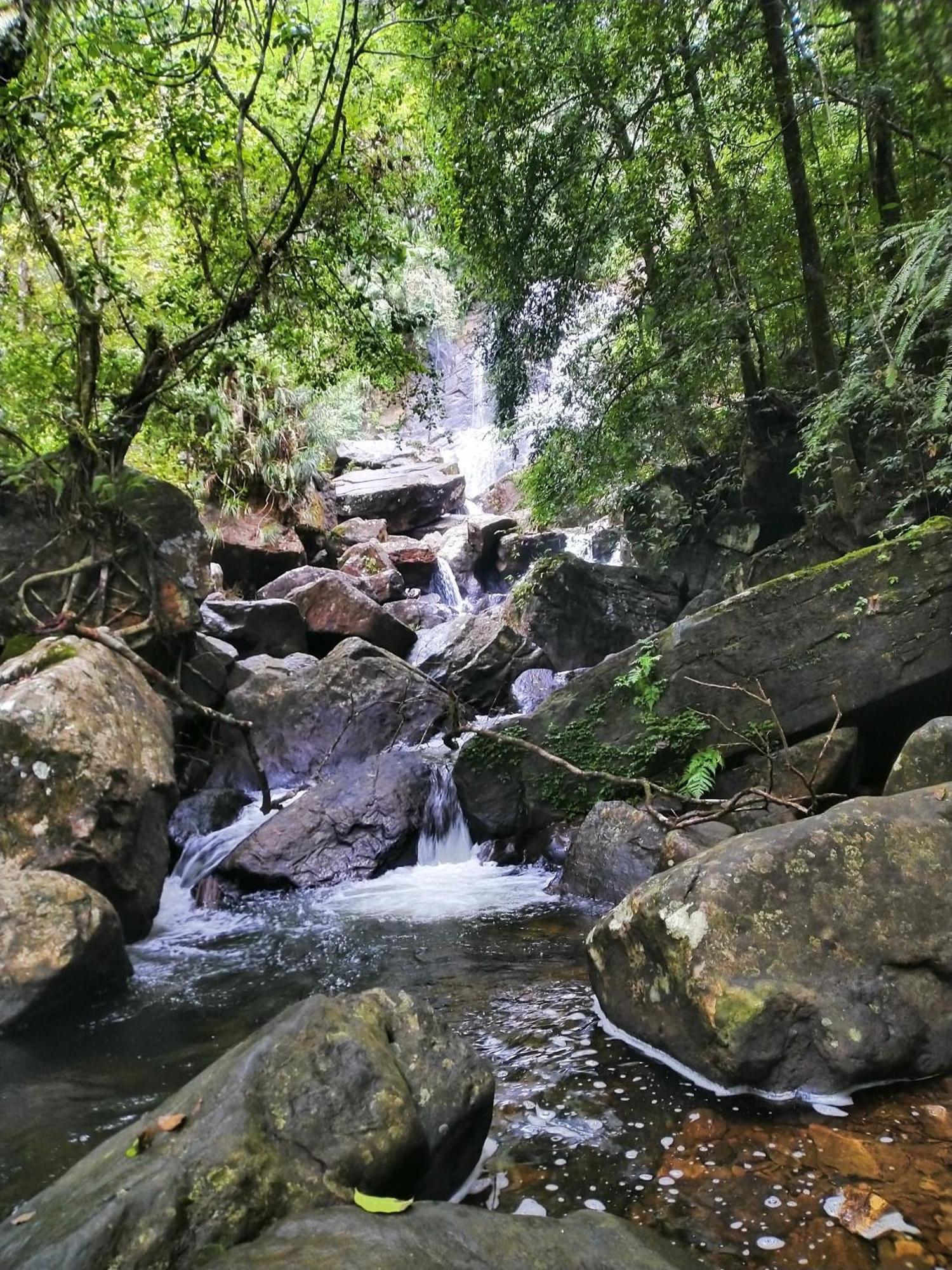 דניאיאה Sinharaja Riverside מראה חיצוני תמונה